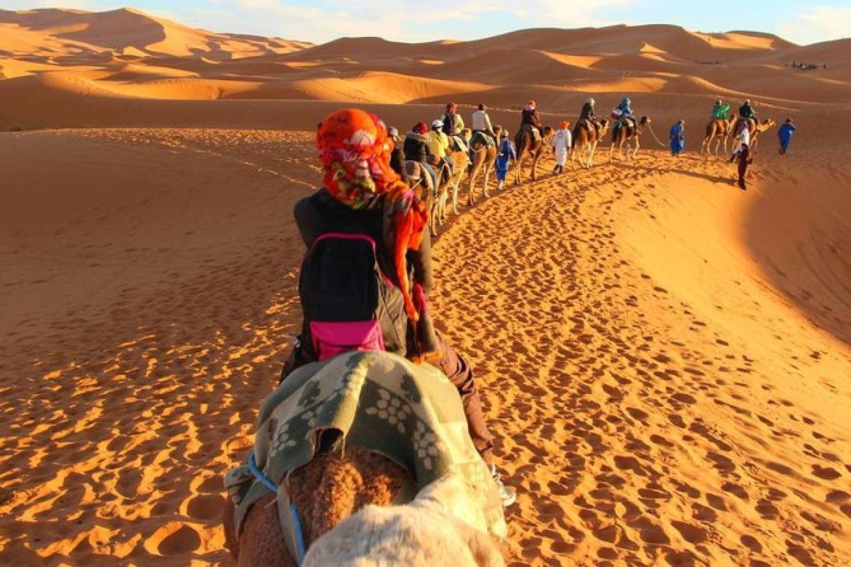 ride camel morocco